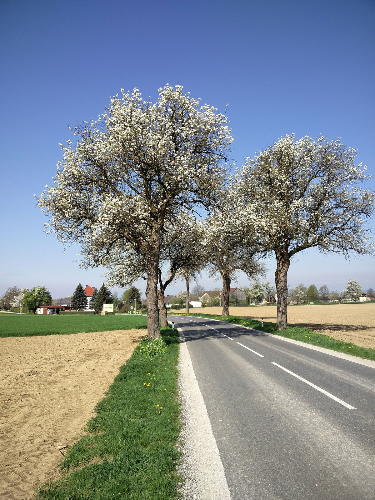 Pummersdorf