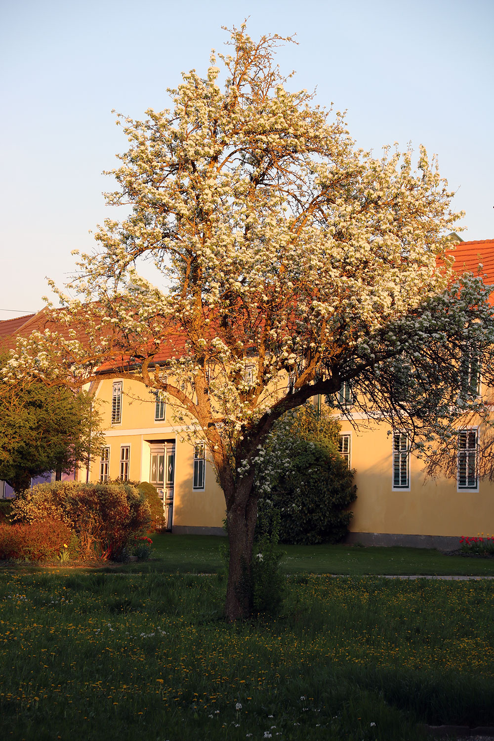 Pummersdorf